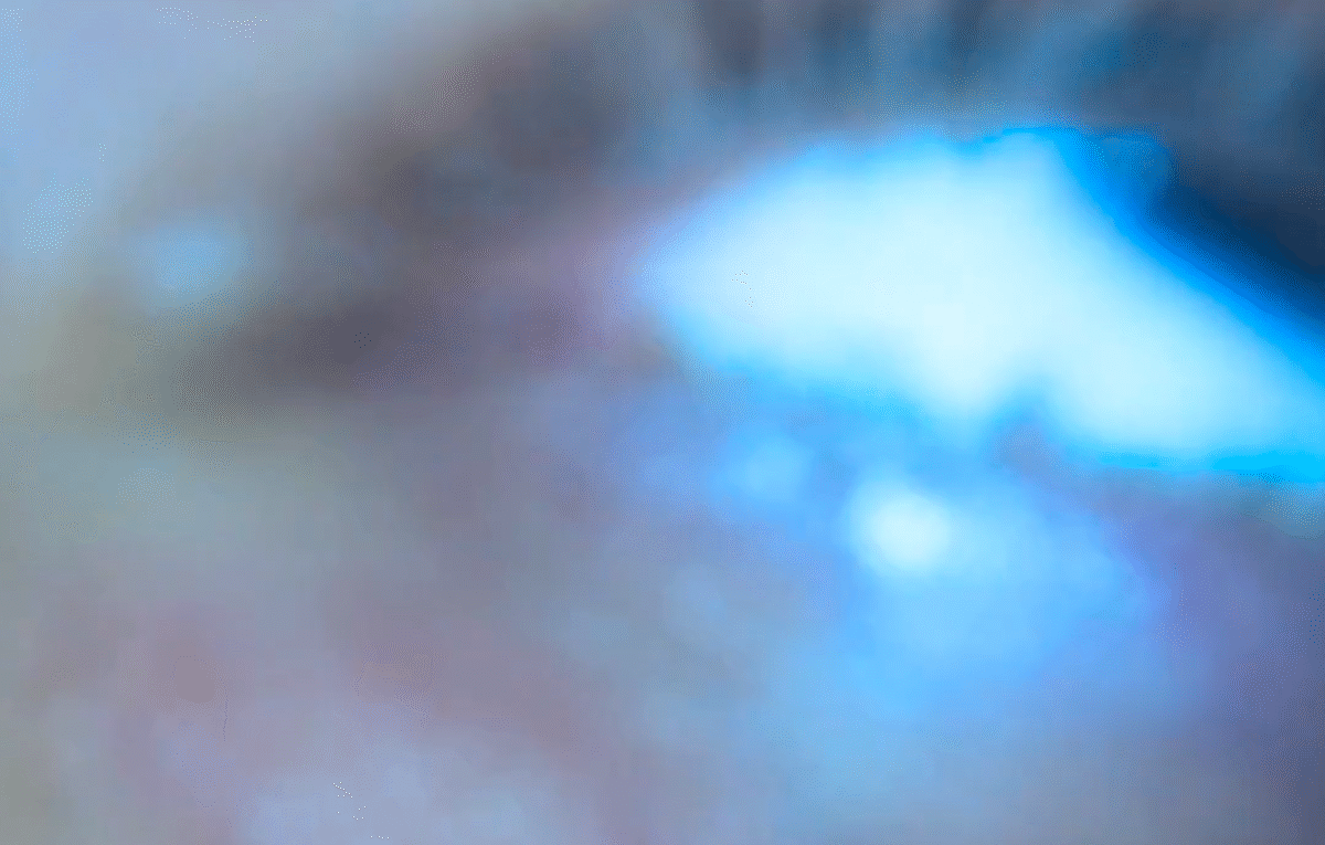 Arca Front Load video NSFW Jesse Kanda album Mutant