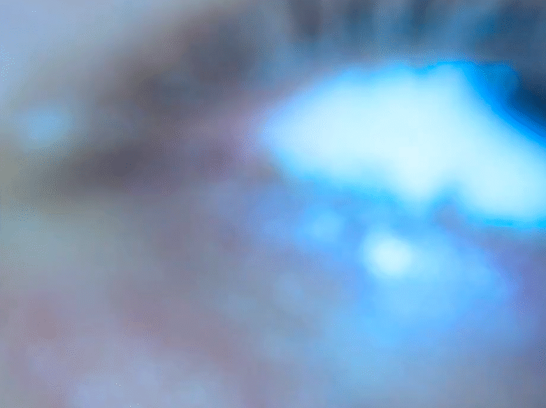 Arca Front Load video NSFW Jesse Kanda album Mutant