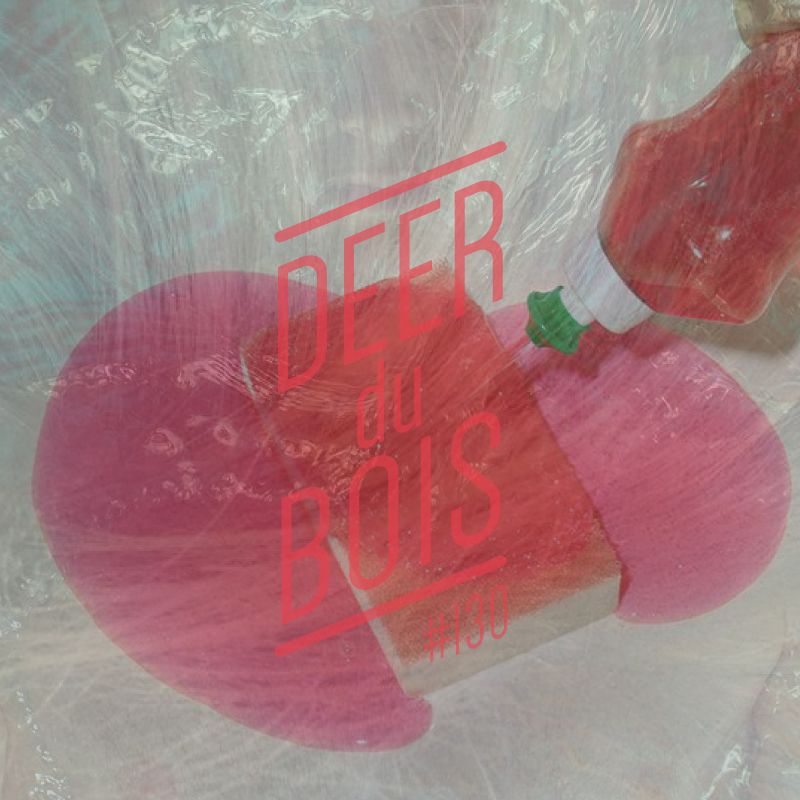 The Deer Du Bois indie pop playlist 130