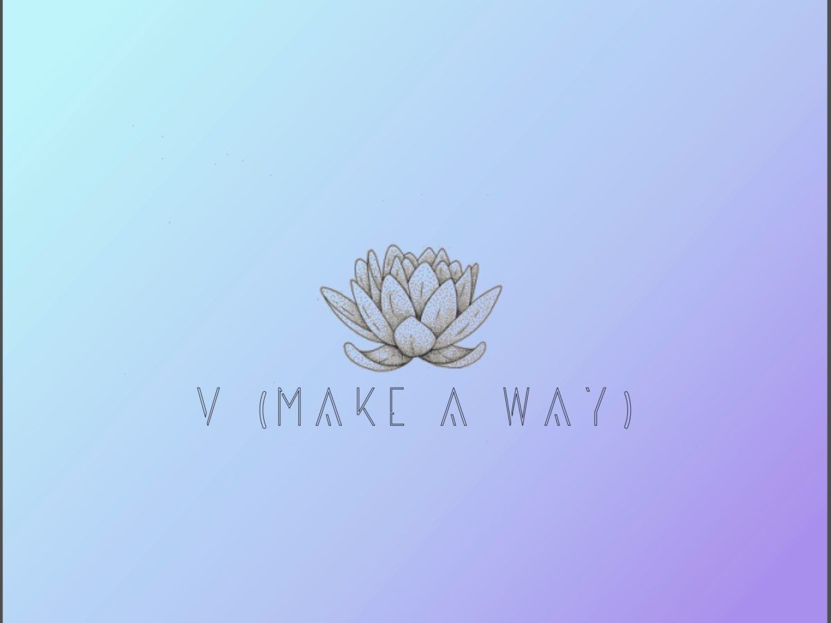 visionnaire v make a way