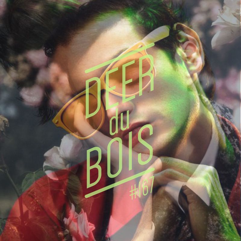 Deer Du Bois playlist #167