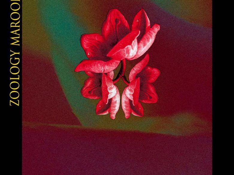zoology-cover