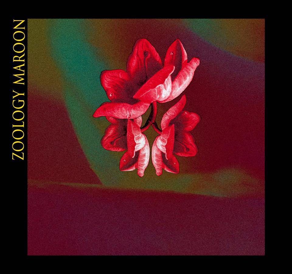 zoology-cover