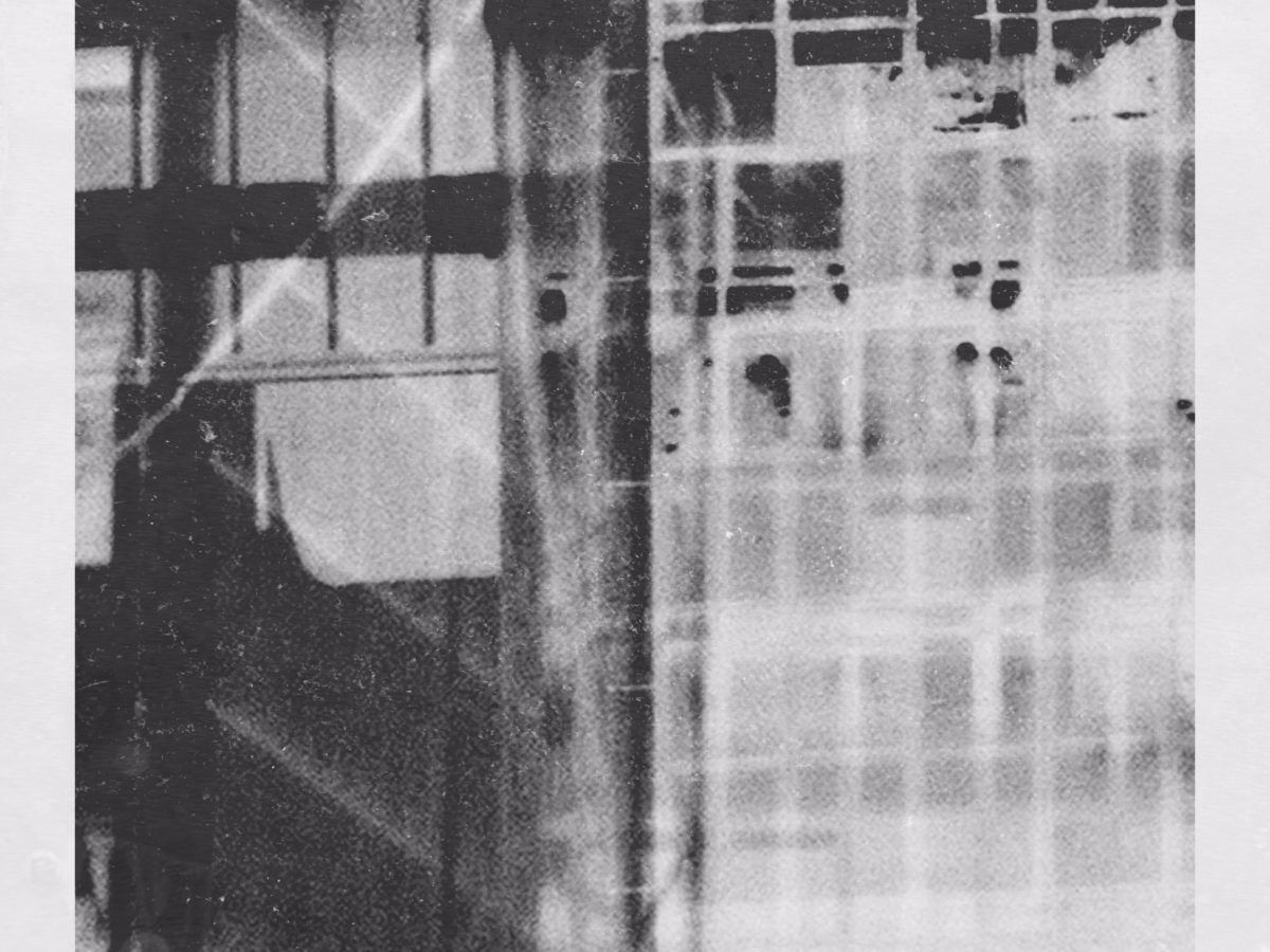 Cecilia Ebba Voices
