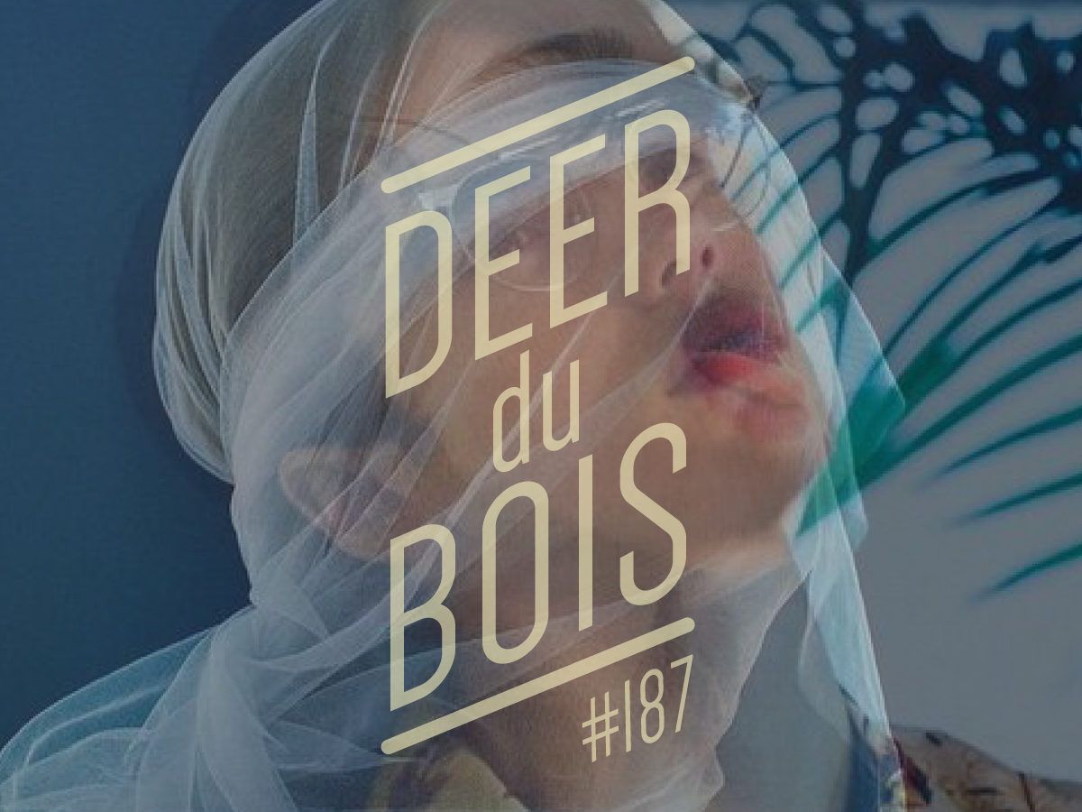 deer du bois