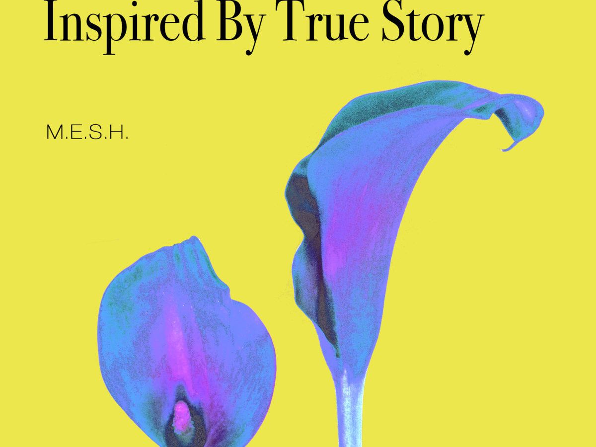 M.E.S.H. Inspired True Story