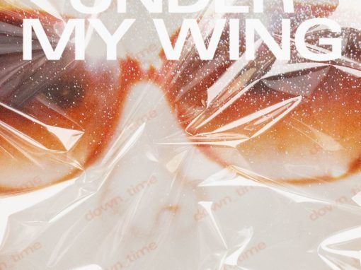 Young Galaxy Under My Wing
