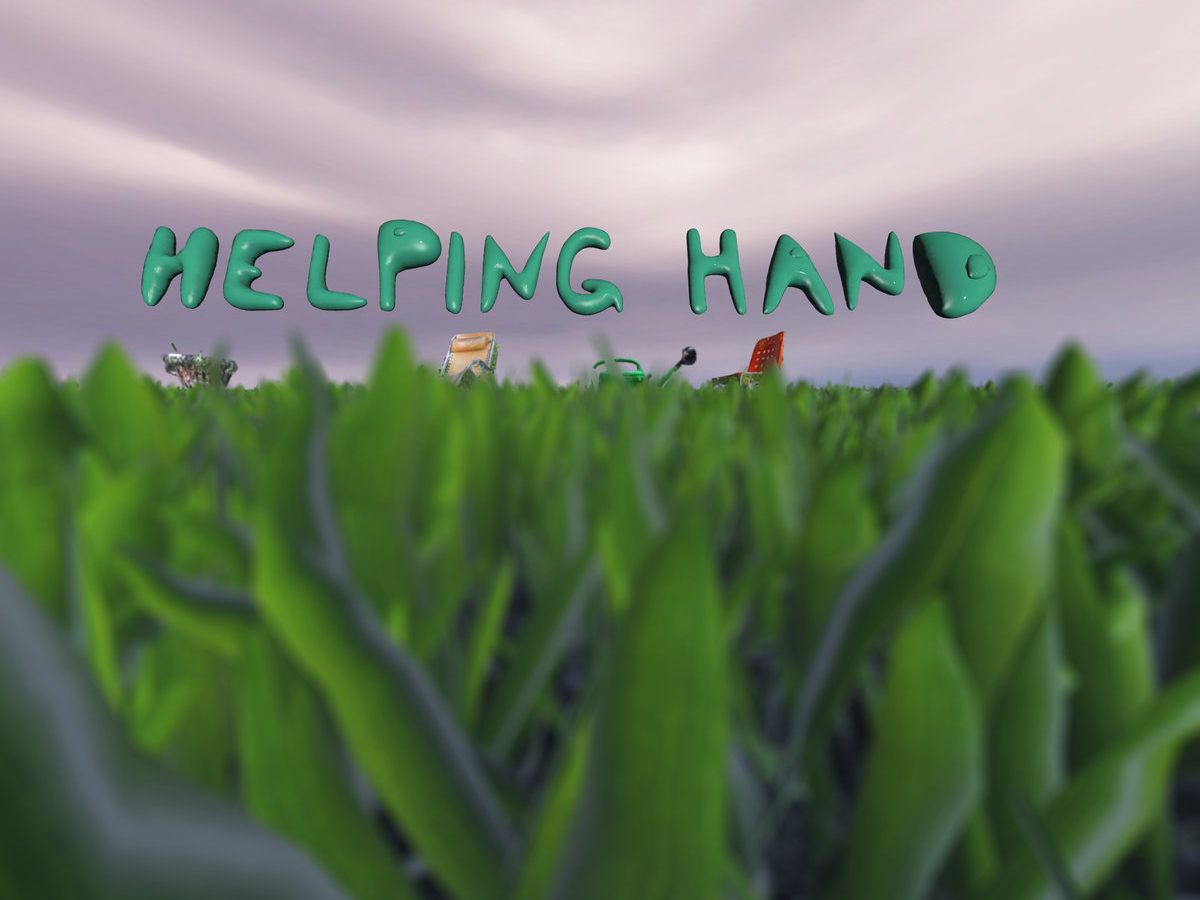 Pet Owner Helping Hand