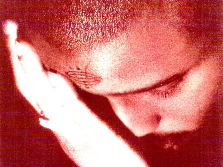 Max Potential album The Passionate Ones Nourished By Time