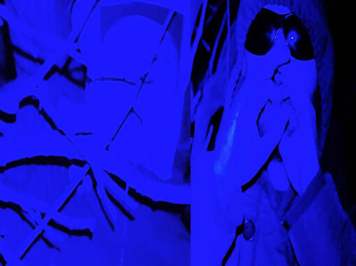 Jawnino Deer Park Melancholia Mattress Buggy YT True Panther