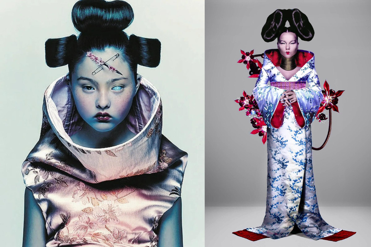 Bjork Homogenic artwork inspirations