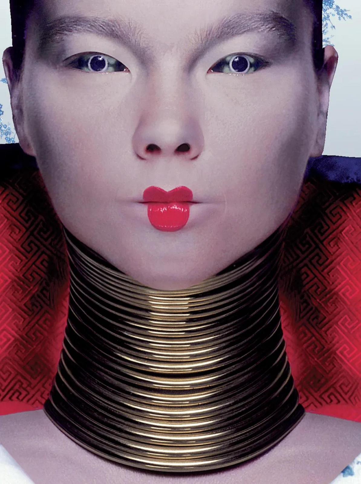Bjork Homogenic