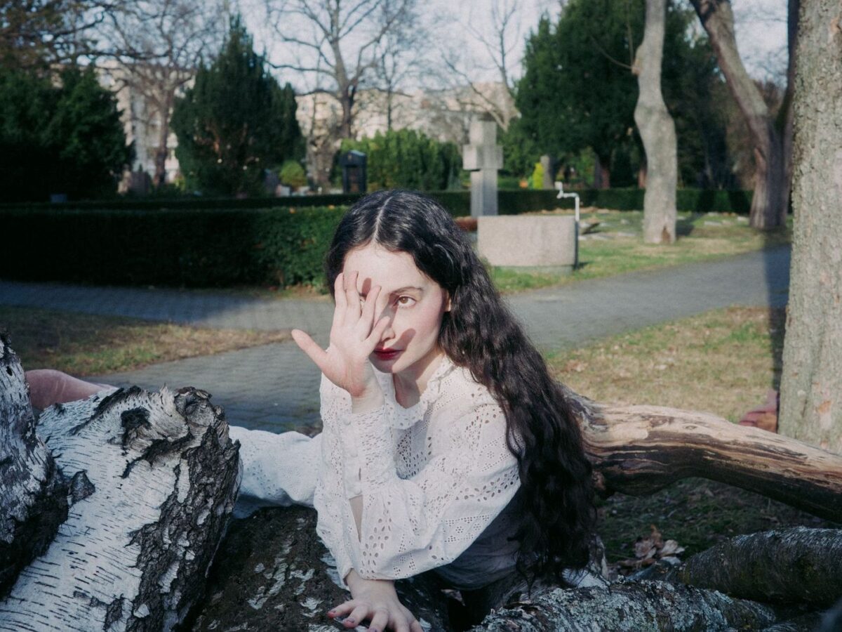 Gloria de Oliveira Fading Faces The Lying Swans