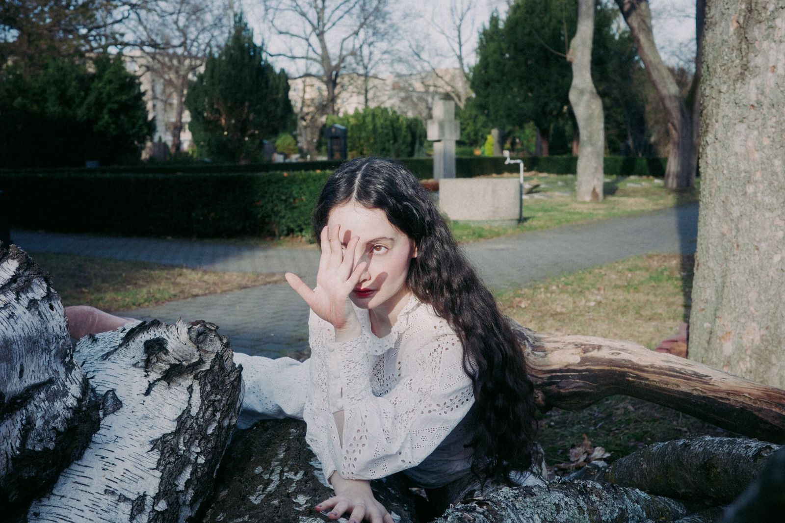 Gloria de Oliveira Fading Faces The Lying Swans