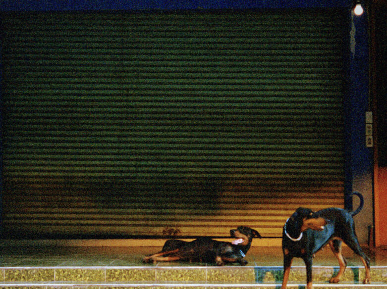 Overmono Pure Devotion album “Knight in Shining Prada” with John Joseph Hol